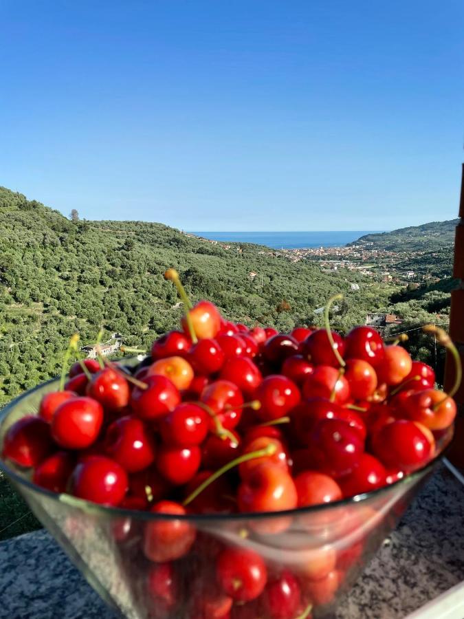 Apartmán Piccola Navetta Diano San Pietro Exteriér fotografie