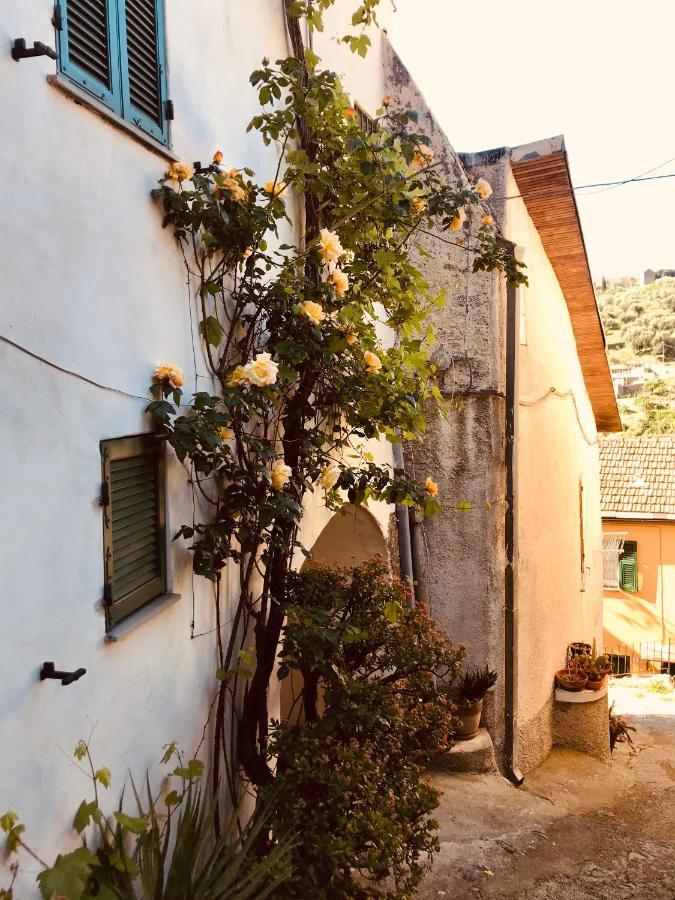 Apartmán Piccola Navetta Diano San Pietro Exteriér fotografie